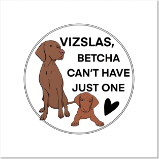 Vizsla betcha can't have just one! Posters and Art